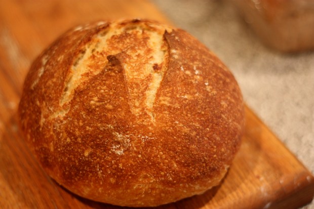 No Knead Crusty Bread