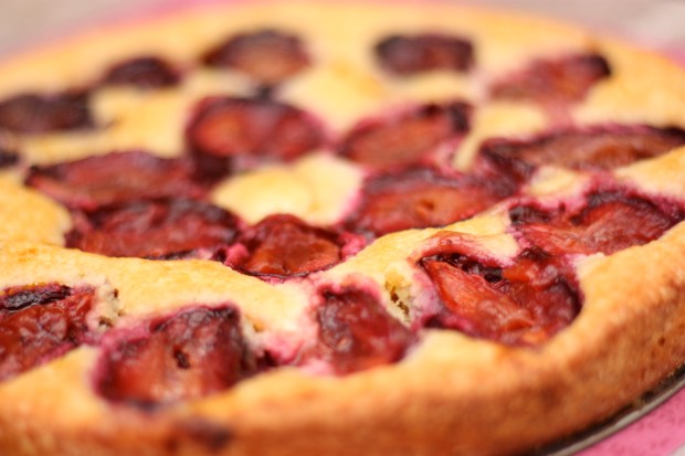 Rustic Plum Cake