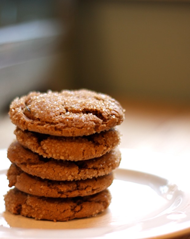 medrich ginger cookie