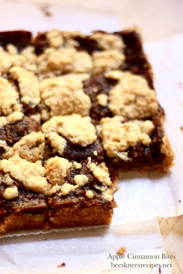 Cinnamon Apple Bites