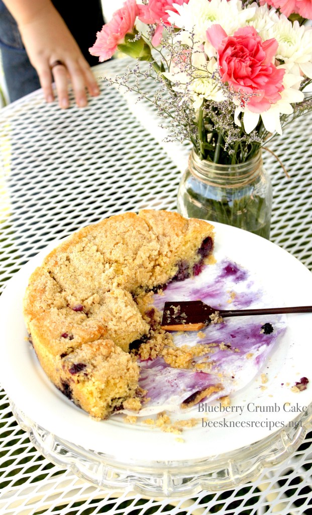 Blueberry Crumb Cake