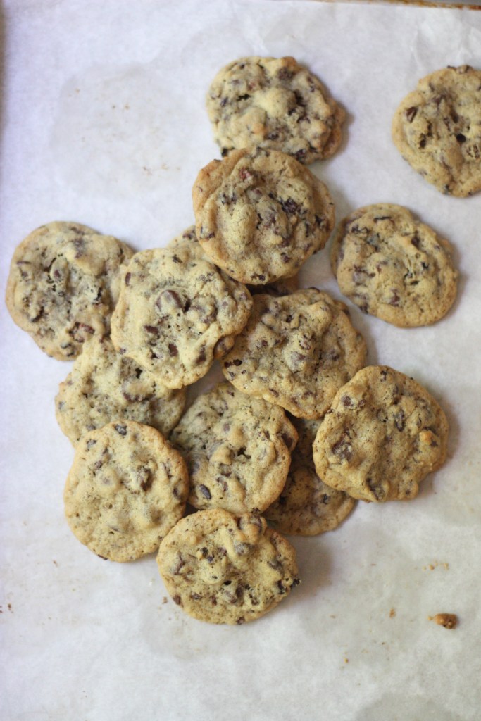 NIbby Chocolate Chips 2