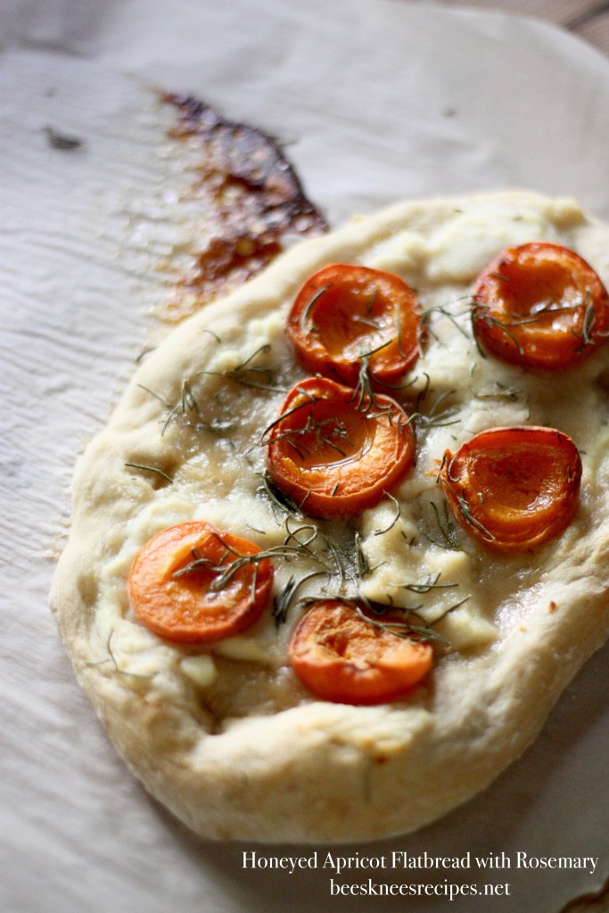 Apricot Flatbread 2
