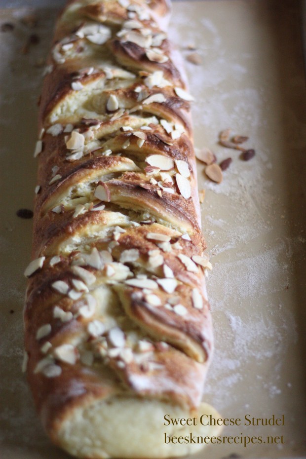 Sweet Cheese Strudel